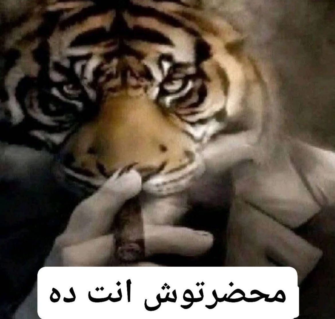 mohamed osman (@theonlyosman) on Twitter photo 