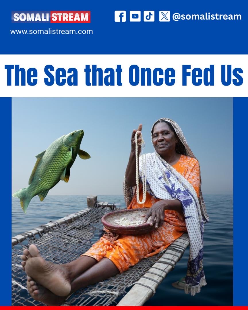 𝗦𝗢𝗠𝗔𝗟𝗜 𝗦𝗧𝗥𝗘𝗔𝗠 tweet media