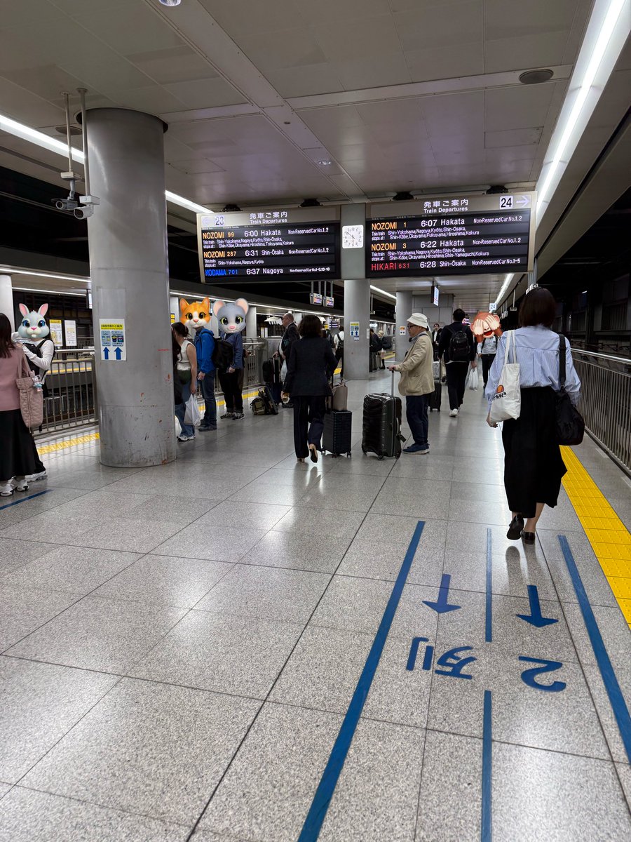 おはようございます
東京は20℃くらいだけど雨が降っているので肌寒い気がするけどまあまあな気温
品川駅新幹線ホームは、いつものように朝っぱらから混雑
服装が12月でも大丈夫そうな重ね着の人が多くてびっくり🫢
今週もニャゴヤへ向けて出発します🚅