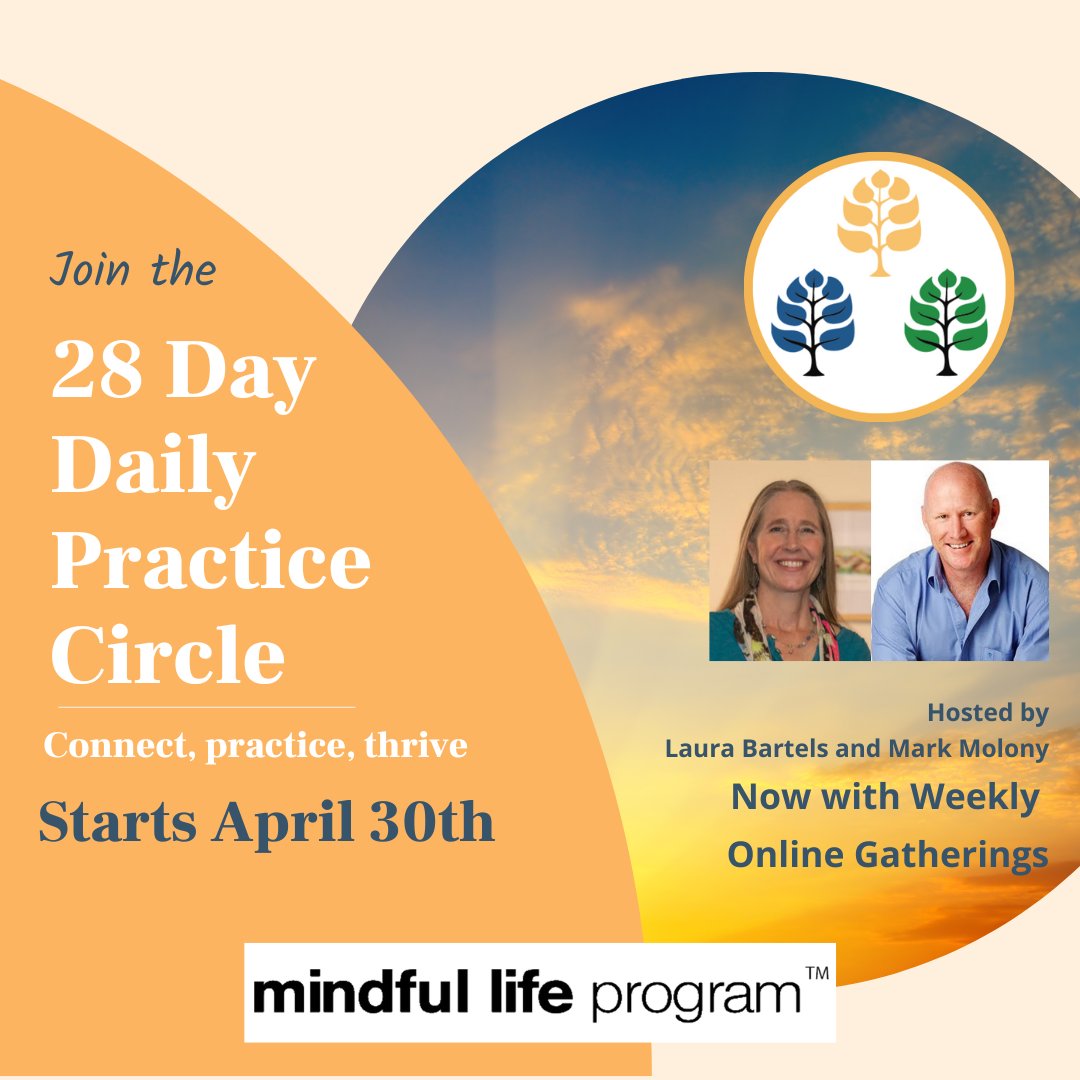 MindfulLifePrgm's tweet photo. 28 Day Mindfulness Practice - Don't Miss Out - https://t.co/87QWngaf7x https://t.co/JLdFp2NgBG