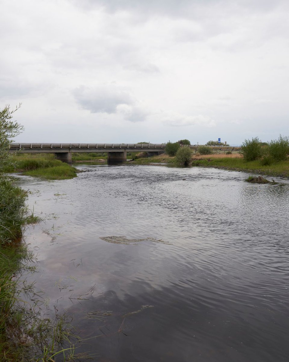 “It wasn’t mandatory, it was voluntary.” In Montana’s Big Hole, rancher Blake Huntley is giving something up so Arctic grayling can thrive. That’s stewardship — and it’s what keeps both land and livelihoods alive.
#WhereStewardshipMeetsSupper onland.westernlandowners.org/2023/stewardsh…