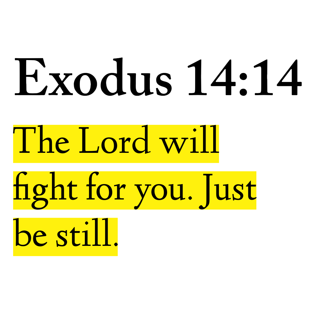 Holy Bible (@biblewisdom) on Twitter photo 