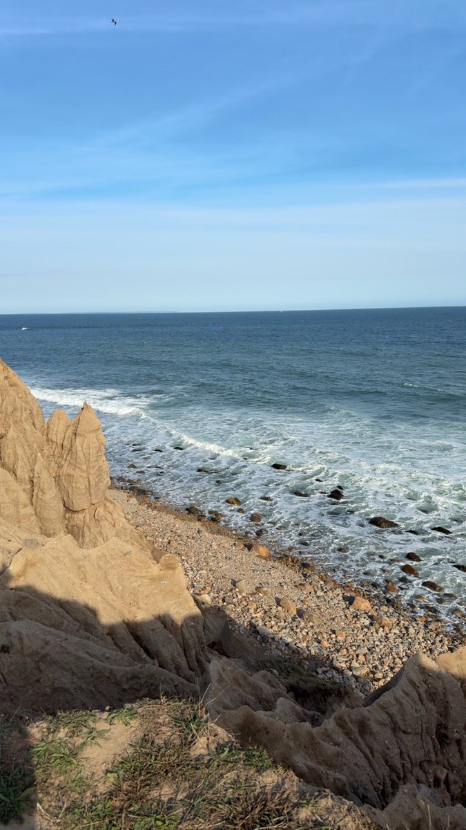 dalee^,^ tweet media