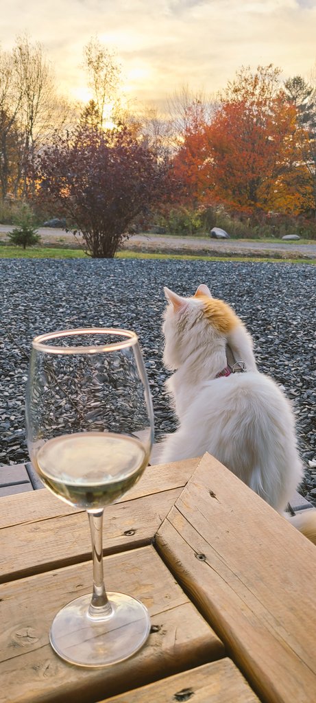 Fin de week-end en douceur.
L'apéro en manche courte.
C'est chaud aujourd'hui sur Québec. 
23 degré alors que cette semaine, au moins une journée, on a à peine rejoind le 11 °
(Plus normal de 11°)