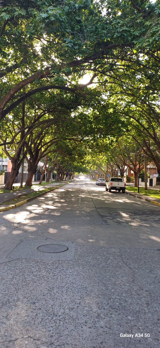 8 Norte, Viña del Mar