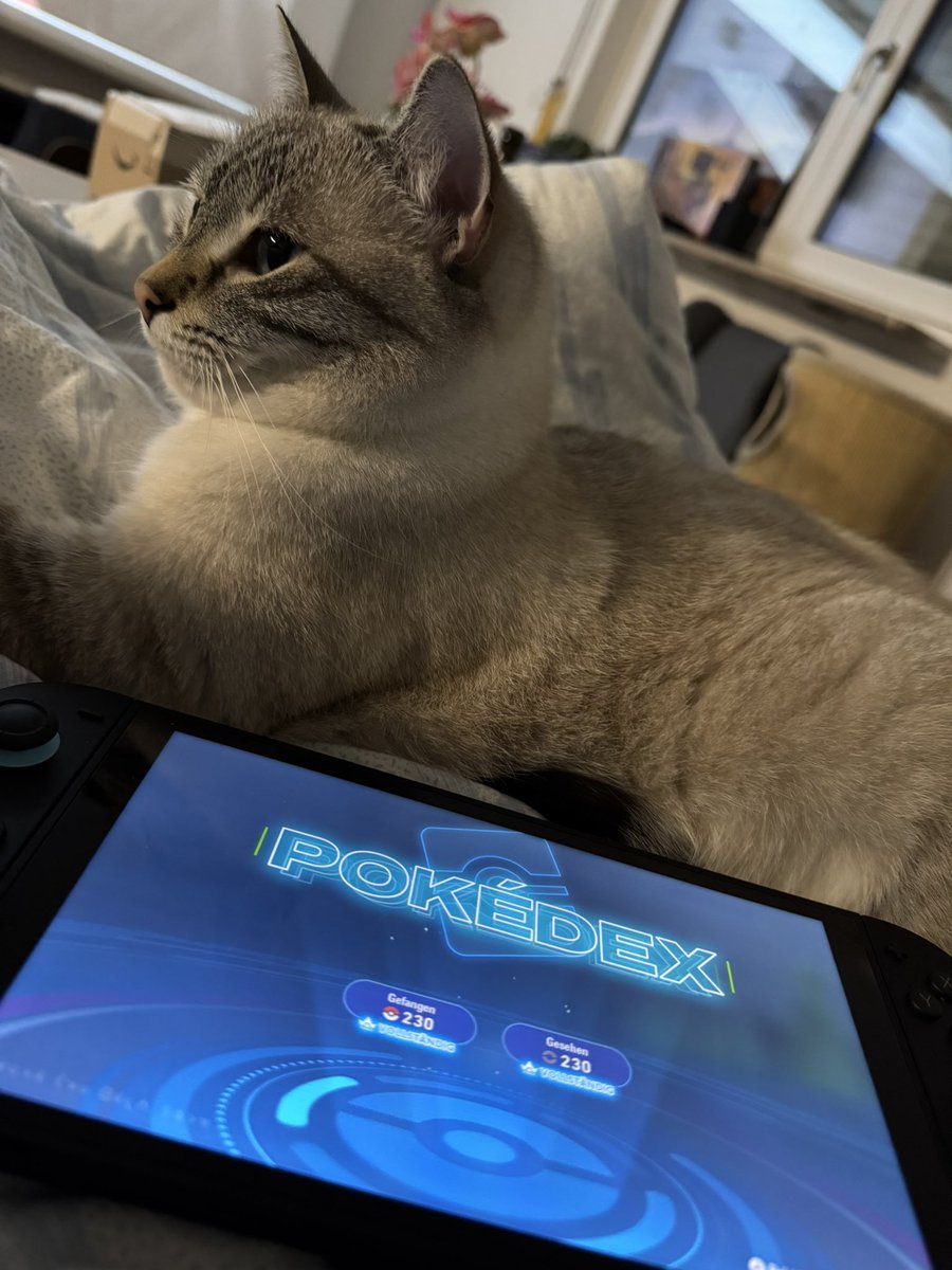 Endlich den Pokédex und zusätzlich den Living Dex vervollständigt ✨🥹