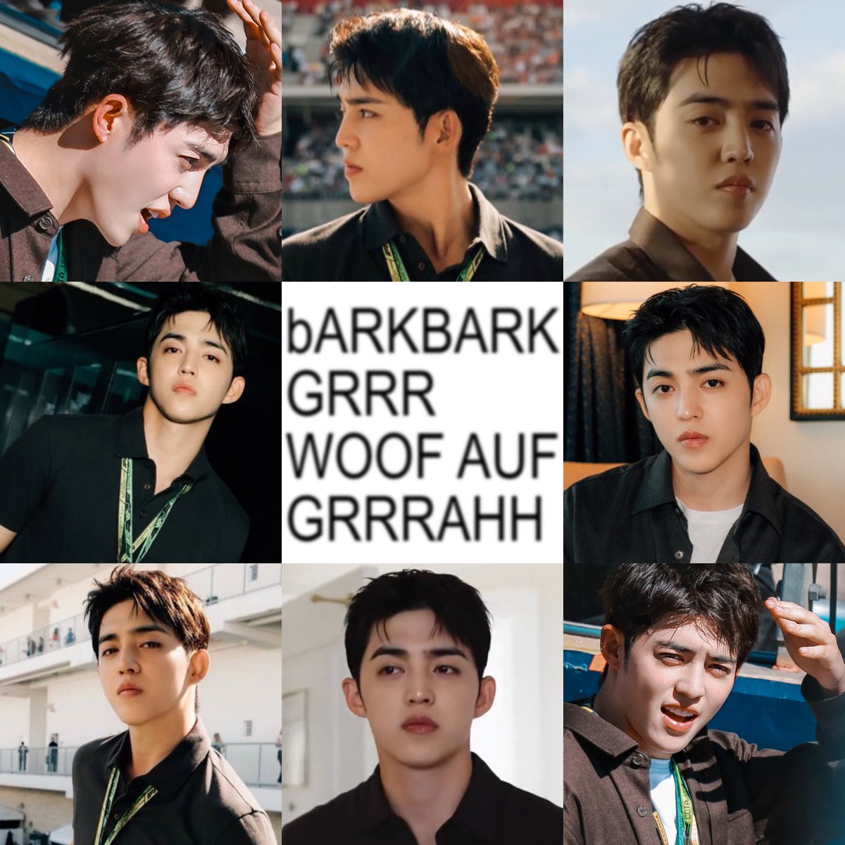 SCOUPS & CO (ia) tweet media