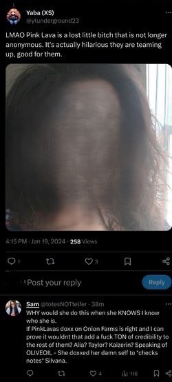 Tweet media one