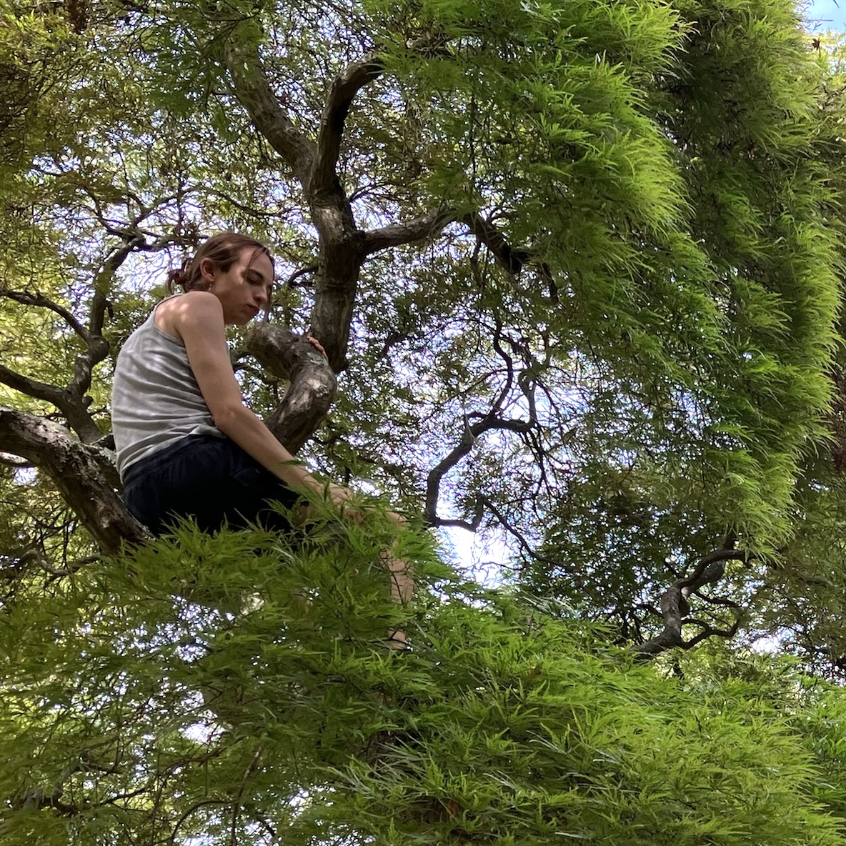 patchymate tweet media