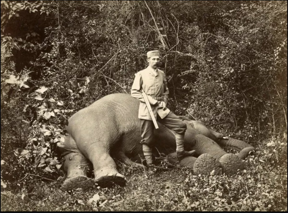 FYI:
&gt;White men wiped out Cheetahs in India. From 10,000 cheetahs in 1600's, they went extinct by 1950. 
&gt;White men killed 80,000 tigers in 50 yrs in India which brought them on the verge of extinction. Duke of Windsor shot 17 tigers in one week in 1921. British civil servant