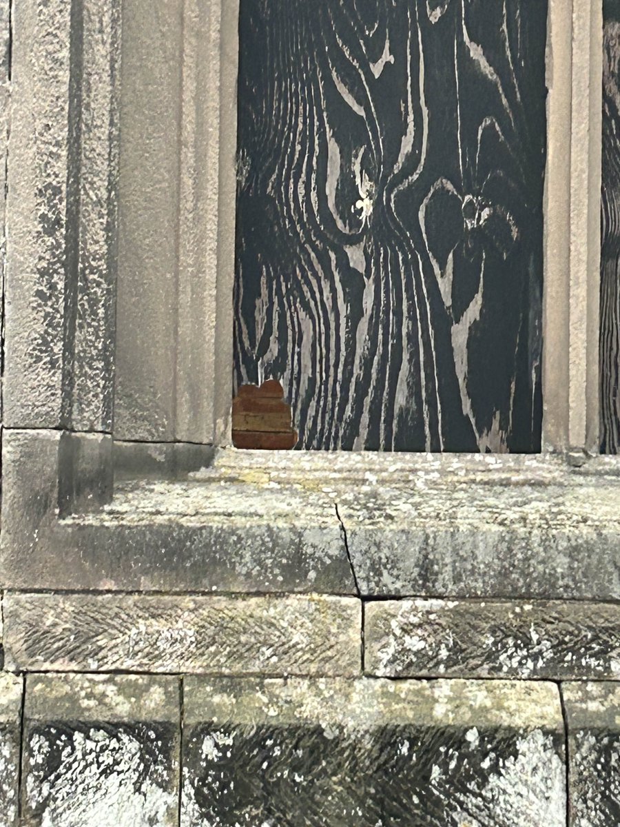 xrollercarter's tweet image. it appears you can still see the back of the walls from the blackout section of #SubSpecies The End Games 🎃

the lights are on, there's still hope. . 👀

#altontowers #scarefest

(photo was sent to me by a friend today)