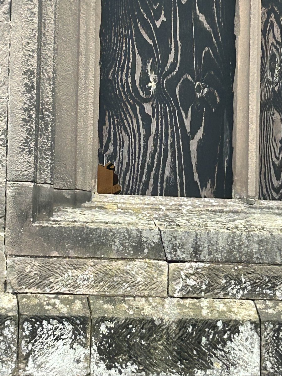 xrollercarter's tweet image. it appears you can still see the back of the walls from the blackout section of #SubSpecies The End Games 🎃

the lights are on, there's still hope. . 👀

#altontowers #scarefest

(photo was sent to me by a friend today)