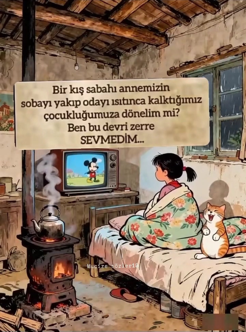 sinanoz3n's tweet photo. https://t.co/jUazaBarJq