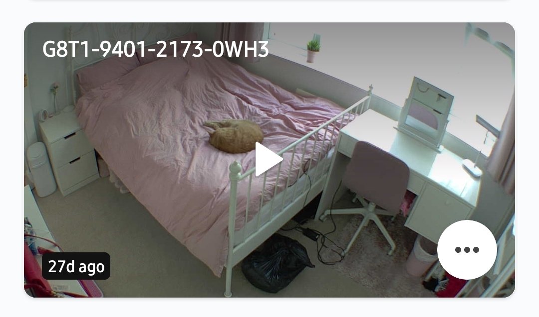 It feels like you will still be there napping on my bed, but you are not there when I press play. Every night I ask to be woken up from this horrible dream, only to realise this is the reality not a dream. I will never be ok, until I can be with you again.