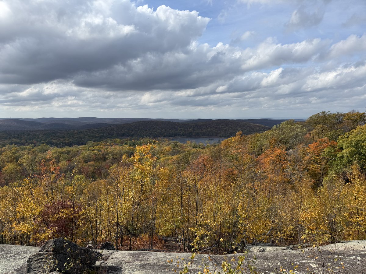 Hiked like 6 or 7 miles on the trail today
<a href="/Thornthefox/">Thorn</a> 
<a href="/Von_dawgg/">zyndawgg🇵🇱 🔜ANE</a> 
<a href="/mira_claws/">mira!</a> 
<a href="/FunnyDogThing/">Mingu 🌱</a>