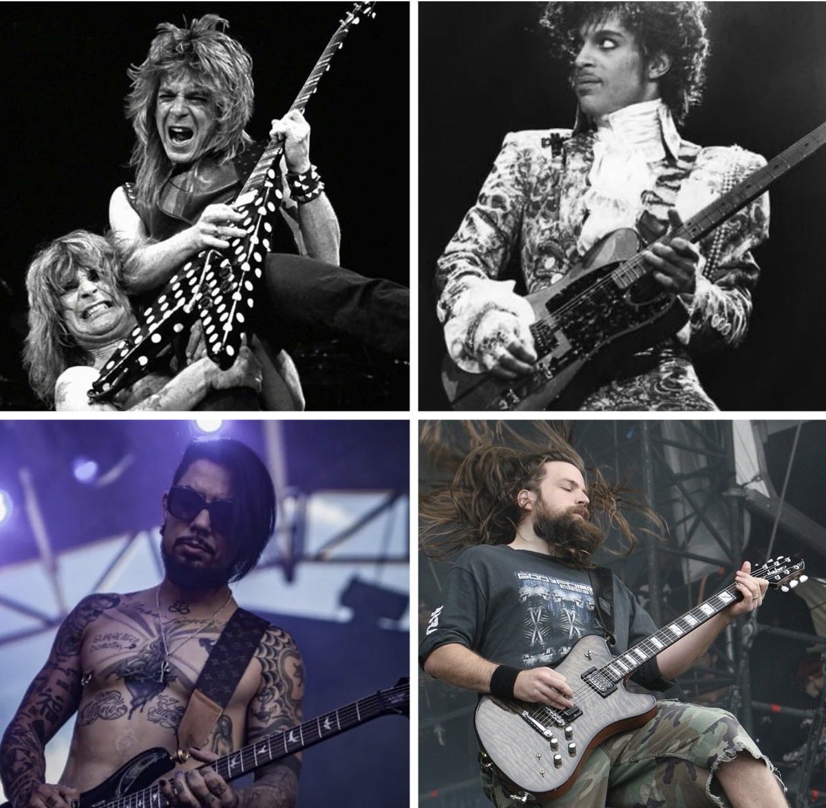 Lucy🦋 tweet media