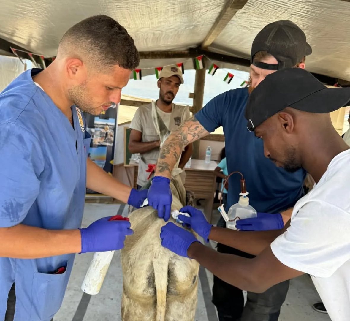 venetianblonde's tweet image. Mu'ath is dead. 
He was killed, and his body has been found. He was one of the last veterinarians left in Gaza, caring for so many hurt and homeless pets and domestic animals and wild creatures alike.

My heart goes out to his family @SulalaSociety and all who knew this good man.