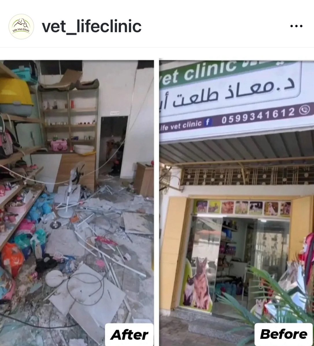 venetianblonde's tweet image. Mu'ath is dead. 
He was killed, and his body has been found. He was one of the last veterinarians left in Gaza, caring for so many hurt and homeless pets and domestic animals and wild creatures alike.

My heart goes out to his family @SulalaSociety and all who knew this good man.