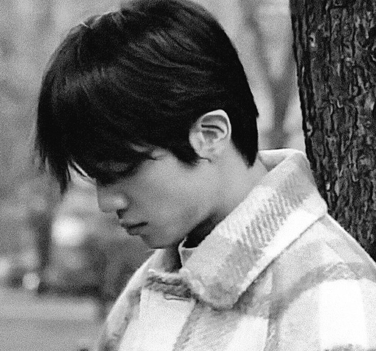 aini (LUA end) tweet media