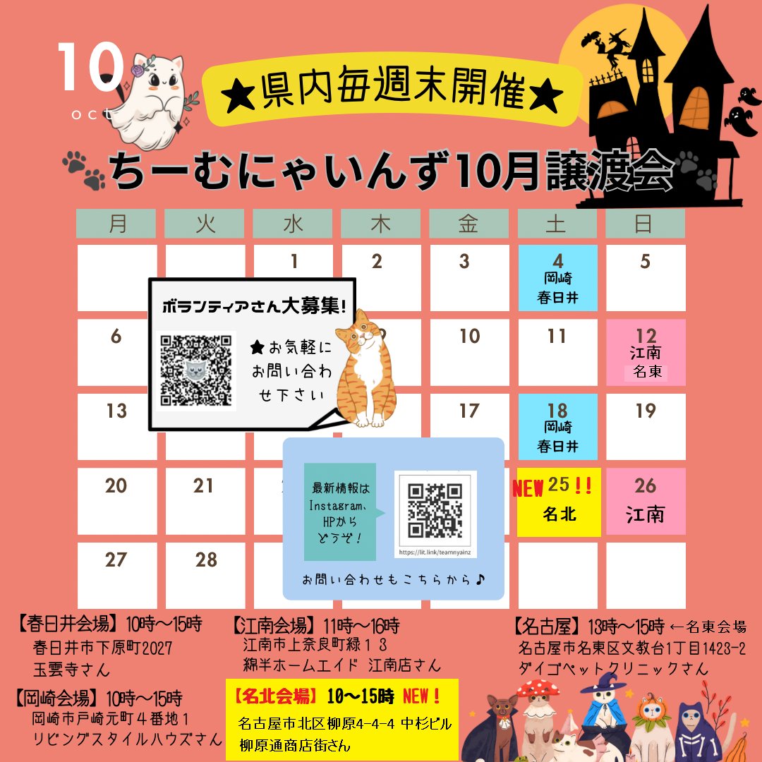10月25日（土）～名北会場、26日（日）～江南会場にて保護猫の譲渡会場を開催いたします！！
どうぞよろしくお願いいたします。
＃ちーむにゃいんず
＃保護猫
＃譲渡会
＃里親募集
＃保健所
＃保護猫活動
＃ボランティア募集