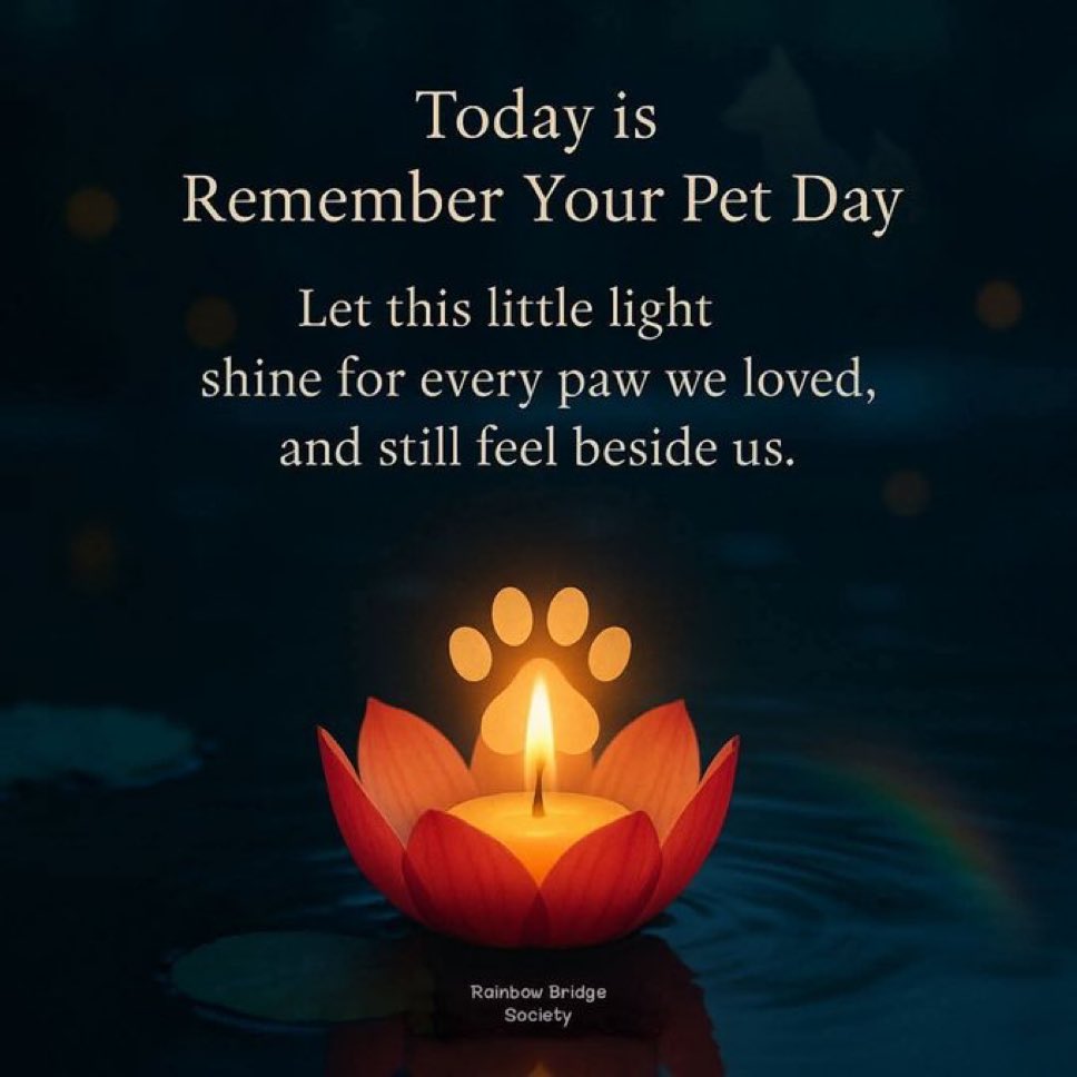 LindstheReader's tweet image. Sarah, Maddy, and Elly Bear ❤️❤️❤️