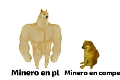 zankuchito (@1xany_) on Twitter photo 