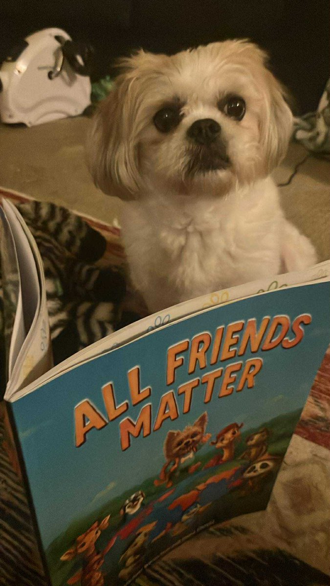 RunawayTrainFil's tweet image. 