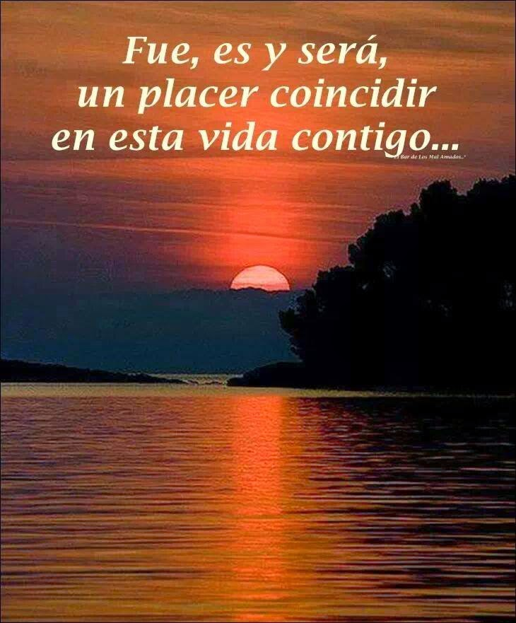 Maria del Mar tweet media