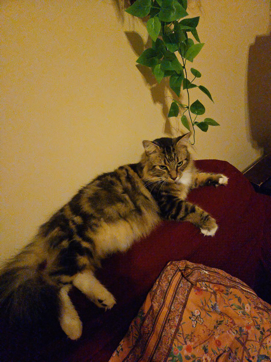 NeonKnightLight's tweet photo. @razalghel @TiffanyFong_ Mr. Rumble say "HI" https://t.co/djI6wtEUVb