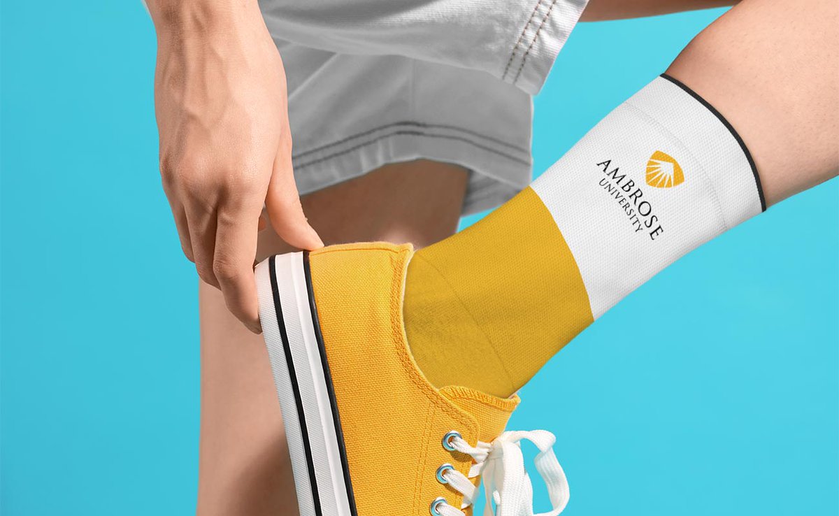 Flashbay tweet media