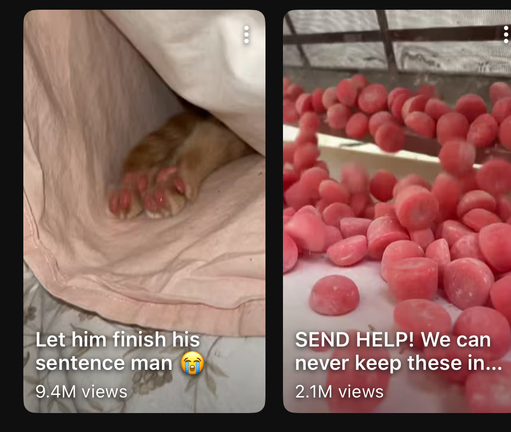 prince 💫 tweet media