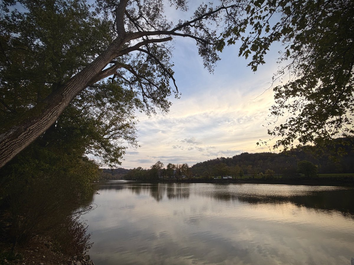 The earth has music for those who listen 🌿✨