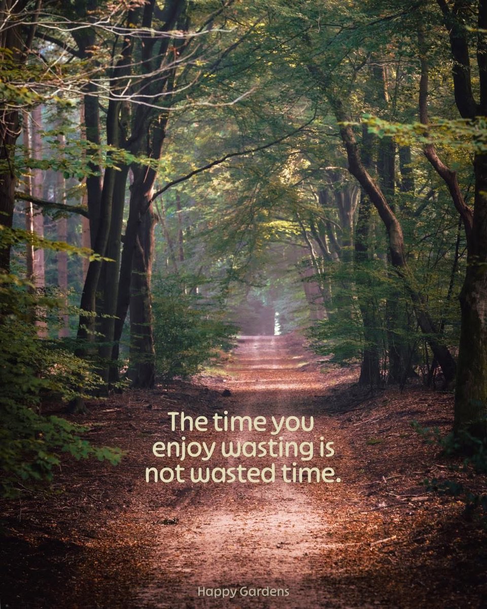 It’s ok to prioritize your peace.