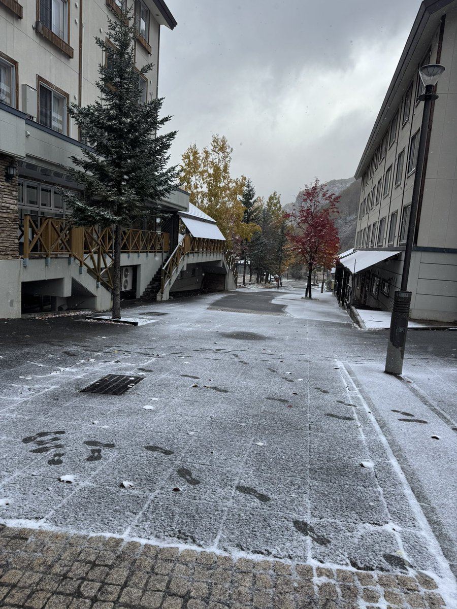 みんみん (@minmin37316705) / Posts / X