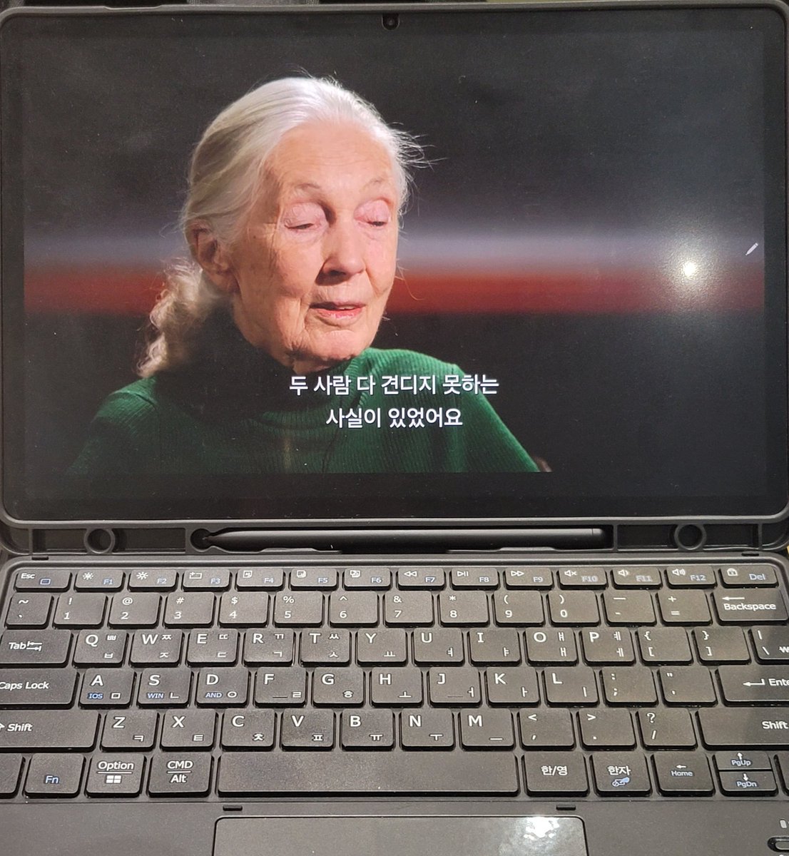 넷플 제인구달 마지막 한마디 다큐 보고있음
구달 선생님은 결혼을 두 번 하셨는데 둘 다 그남들이 선생님의 연구에 조력하지 않았다면 결혼 안하셨을거라고 함 사랑하긴 했는데 지금 와서 돌아보면 그정도는 아니었던거같다고 하심

두 명 다 질투가 극심했다고 한다 한 명은 선생님의 여사친한테도