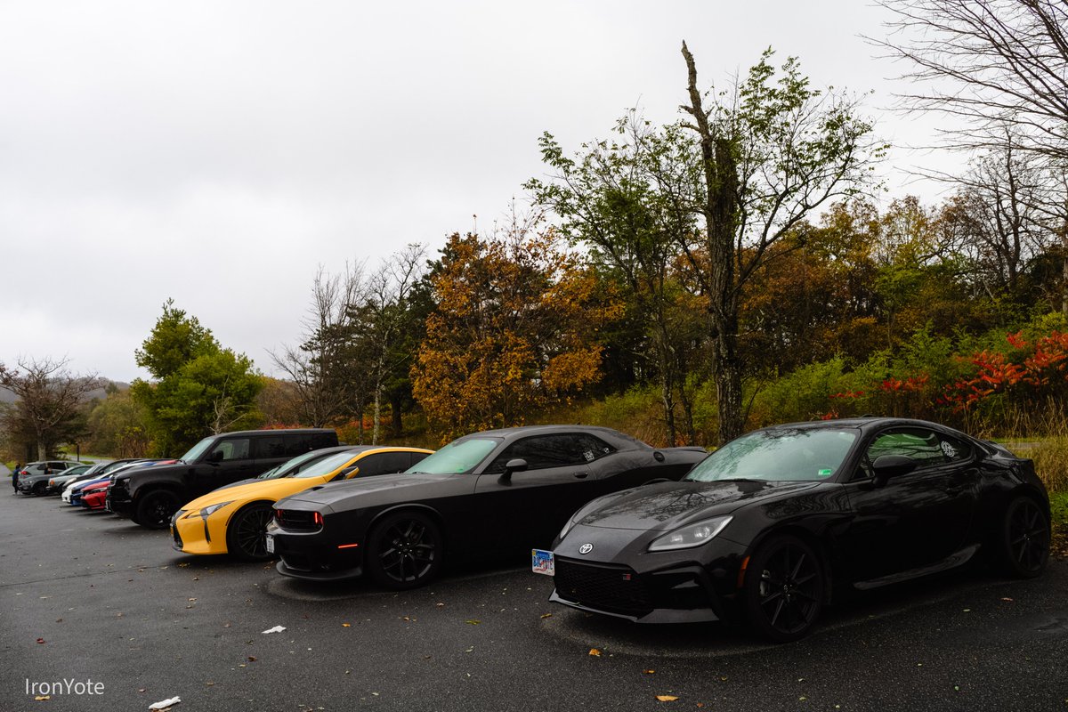 Fall Nova Furry Car Cruise was a success! 
Thank you everyone for coming out!