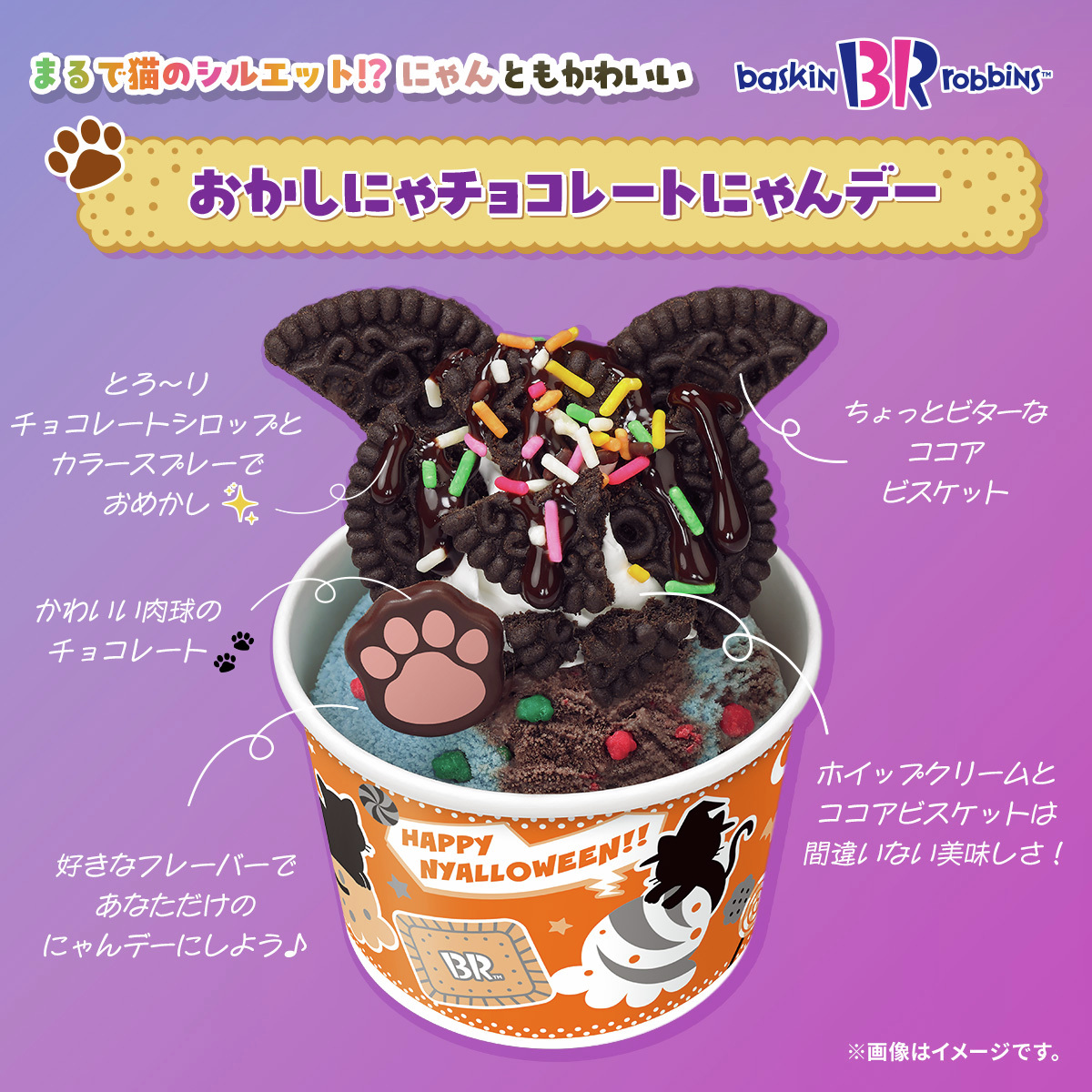 サンデーが猫になっちゃった？！🐈‍⬛ ＼ ココアビスケットに、肉球の