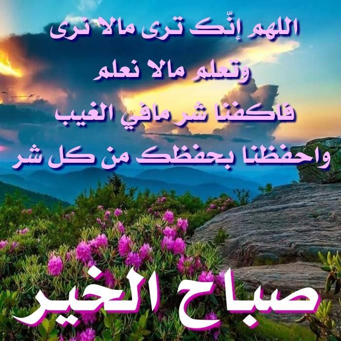 اللَّهم 
ارزقنا الرضا وراحة البال وصلاح الحال وجبر الخاطر 🤲🏻
 اللَّهم اغفر لي ولوالدي ولمن أحسن إليَّ اللَّهم سهِّل لنا كلَّ عسير وأرنا في حياتنا ما يسرُّنا ويرضيك🤲🏻