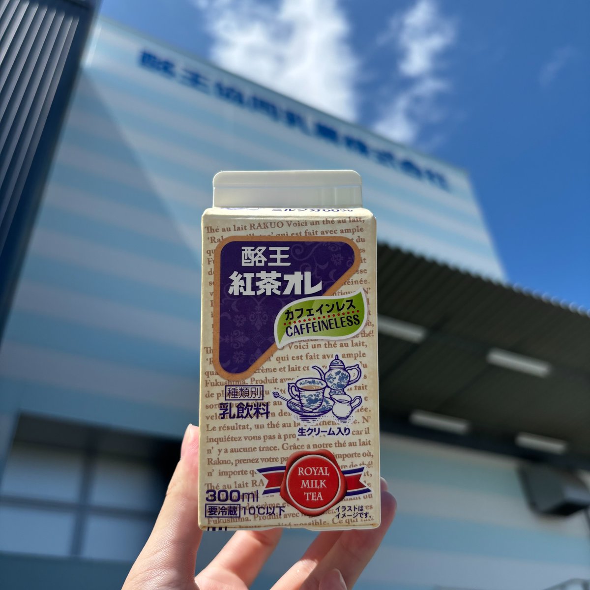／
みなさ～ん🐮💗
＃酪王紅茶オレ もう飲みましたか？
＼
復活してほしいと
たくさんお声をいただいていた紅茶オレ
現在販売中です✨✨
　
もう飲んだ方は、コメントで
「🥛」を送ってください😆　
　
酪王オンラインショップでも販売中です↓
ja-town.com/shop/c/cB511/