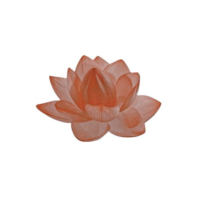 *𝗮𝗋𝗂𝗓𝗈𝗇𝖺.ᐟ tweet media