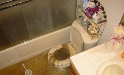 I’ve successfully converted Chipotle into its final form. The circle of life continues.