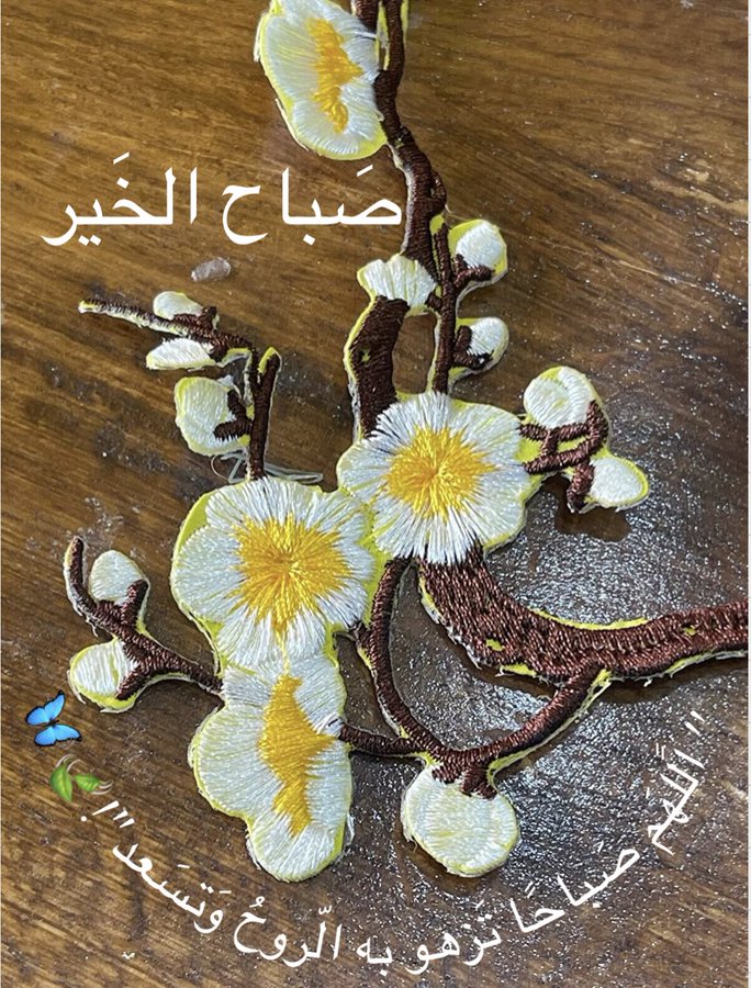 لمن جمعتني بهم الحروف والكلمات واهدتنا الدنيا بعض من اللحظات التي أسعدتنا وقربتنا
فليس القريب قريب الدار  ولكنه بالقلب والروح  إلى القلوب الطيبة
 النقية التي تشبه الورد صباح
 الورد والياسمين
 للأصدقاء المحترمين 🪷          

#ملك_الدعم_والاضافات
#دعم_نور_الرحمن

#nor3rh