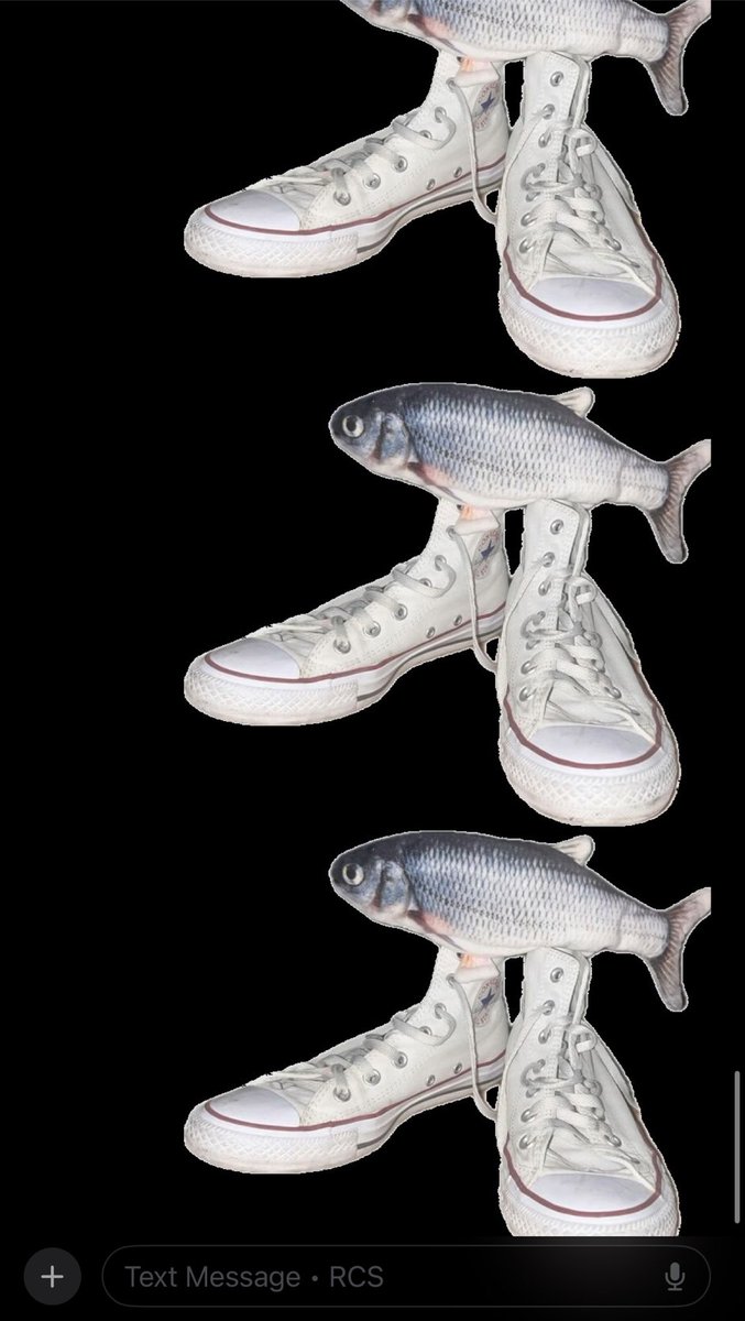 Loafy 🍞 tweet media