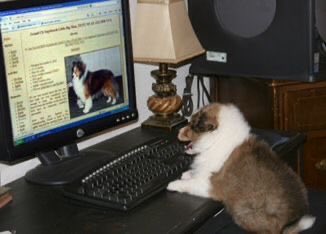 "get a job" nope im playing on da computer!