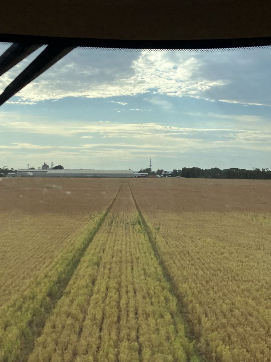 nick correll tweet media