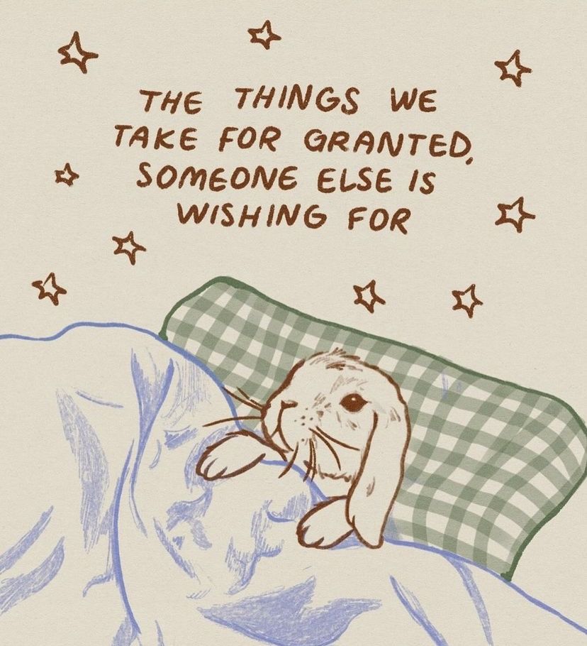 cutedreamvibes's tweet photo. https://t.co/7NRz1FEtK8