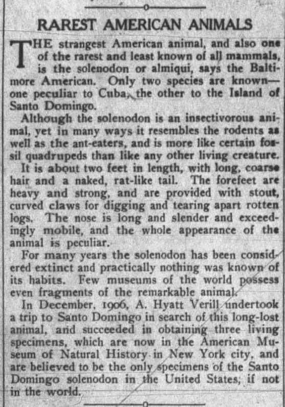Rarest American Animals

Louisville Courier, Louisville, Nebraska · Saturday, December 26, 1908