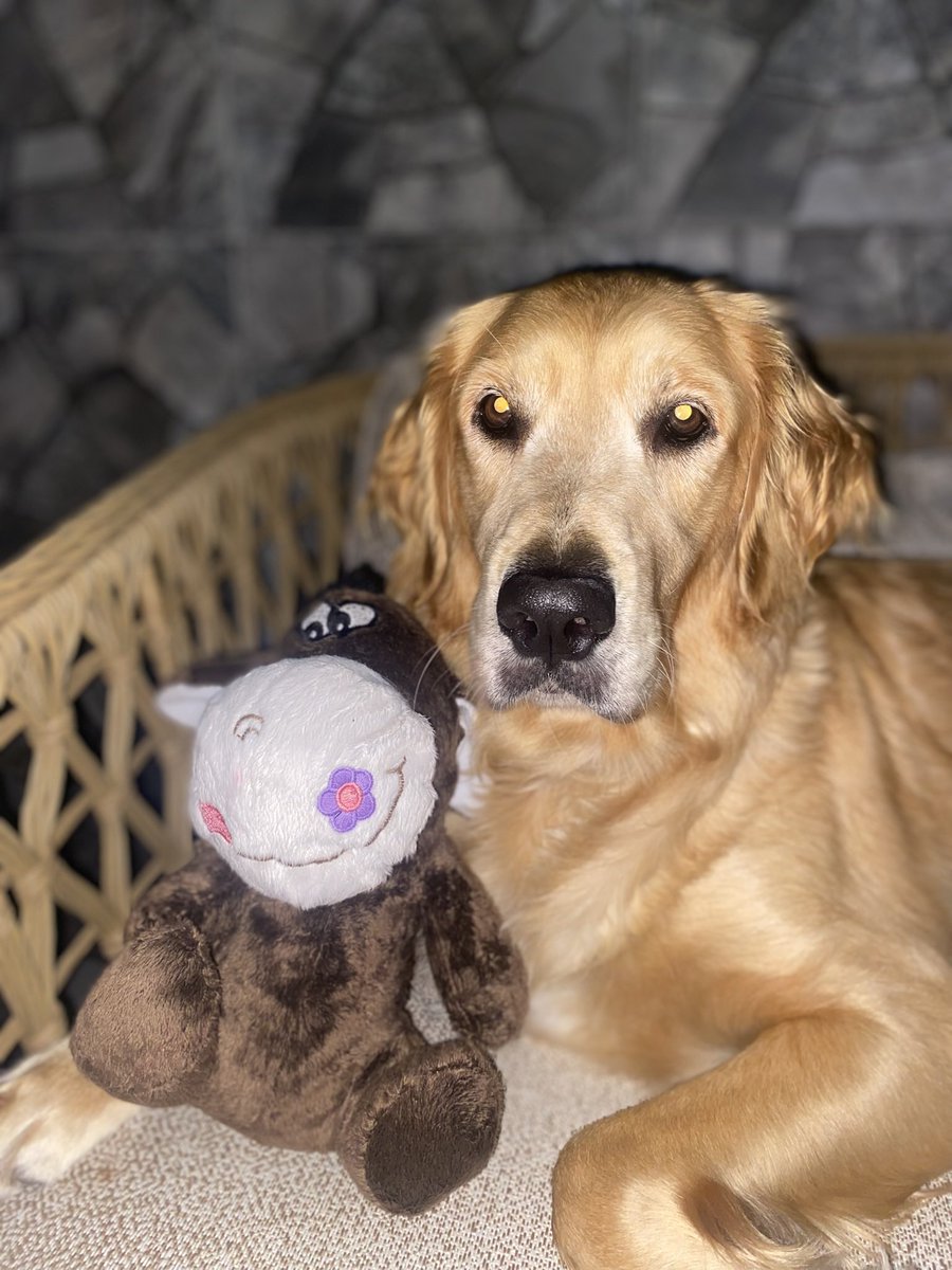 Cogu erkekten yakisikli oldugu gercegini görmezden gelemeyiz