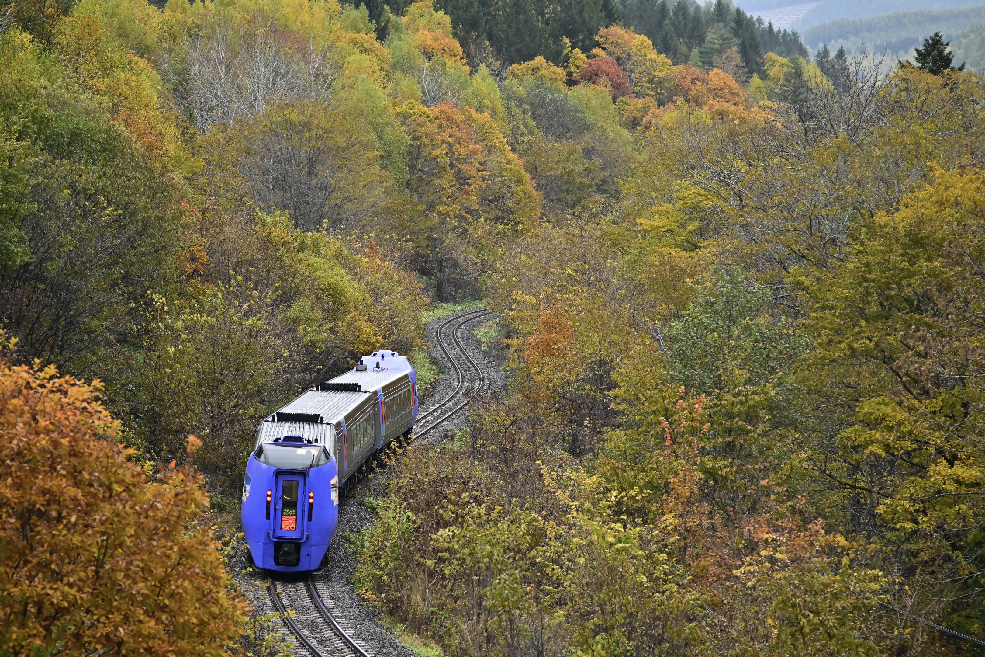 長崎金太郎 on X: 