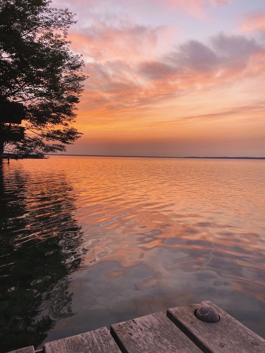 Rest where the light feels soft.